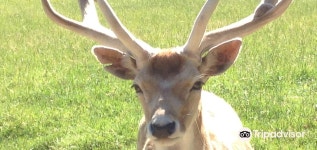 뇽고타하 밸리 2022 인기 명소 - 뇽고타하 밸리 트립 가이드 - 뇽고타하 밸리 인기 명소 입장권 추천, 호텔, 가 볼 만한 곳, 식사, 맛집 - 트립닷컴