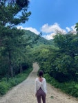 황령산 등산으로 도전. 🔸부산 황령산(경성대->사자바위->. 트립닷컴 부산 트립 가이드.
