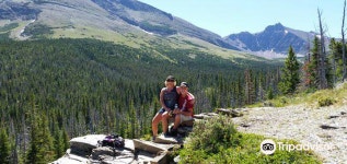 이스트 글라치어 파크 빌리지 2022 인기 명소 - 이스트 글라치어 파크 빌리지 트립 가이드 - 이스트 글라치어 파크 빌리지 인기 명소 입장권 추천... 