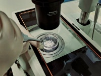 [(주)영각유전 농업회사법인] [(주)영각유전] 생명공학연구소 사원모집 - 사람인