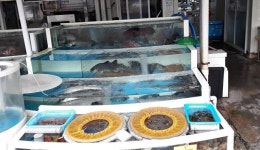 가거도횟집 - 목포BIZ 가거도횟집