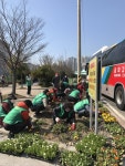 행복마을1번지 산정동, 새봄맞이 봄꽃 식재 - 열린시장실 행복마을1번지 산정동, 새봄맞이 봄꽃 식재