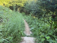 유달산 둘레길 제초작업 부탁드립니다. - 열린시장실 유달산 둘레길 제초작업 부탁드립니다.