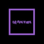   GRAPEVINE-그레이프바인 - YouTube GRAPEVINE-그레이프바인