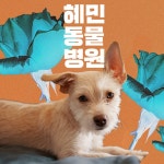  동물 혜민서_혜민동물병원 - YouTube 동물 혜민서_혜민동물병원