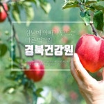   김영곤 - YouTube 김영곤