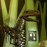   우석헌자연사박물관 - YouTube 우석헌자연사박물관