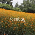  로즈베이rosebay - YouTube 로즈베이rosebay
