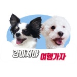   강아지야 여행가자 - YouTube 강아지야 여행가자