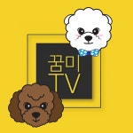   꿈미TV - YouTube 꿈미TV