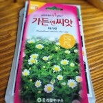 나만의 텃밭에서 채소와 허브키우기! 야미가든과 함께해요~ ^^ 벌써 부터 화단에 하얀 마가렛이 한가득 핀 모습이 아련하네요 잘 키워볼께요... 