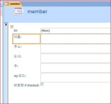 마이크로소프트 액세스(Microsoft Access) 이용하기 (2)