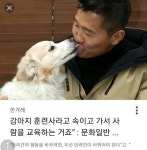 (대기자료) 강아지 조련사 강형욱의 진실 - 행복한 유머, 웃긴대학에 오셨습니다 !!