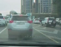 클리앙 > 모두의공원 > 낙타의 도로난입.gif