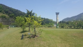 파3 소개 만평골프랜드(경남 함안) > 골프포럼 | 딜바다닷컴 딜바다::파3 소개 만평골프랜드(경남 함안) > 골프포럼