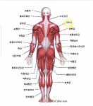 몇달만에 연습장을 다녀왔습니다. > 골프포럼 | 딜바다닷컴 딜바다::몇달만에 연습장을 다녀왔습니다. > 골프포럼