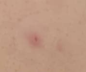 아직도 다들 멍구 하지? ㅎㅇㅈㅇ - 인스티즈(instiz) 일상 카테고리 아직도 다들 멍구 하지? ㅎㅇㅈㅇ