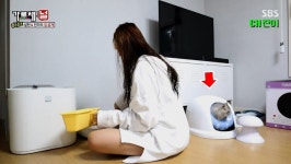 찬미네수선집 | 뽐뿌:자유게시판 - 가로채널 찬미네 고양이 가로채널 찬미네 고양이