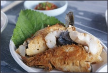 양진규감포참가자미회 | 경주 감포 "참가자미 회"+ 이시가리 경주 감포 '참가자미 회'+ 이시가리