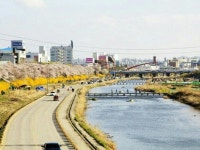 생명살림두레유통협동조합 | 충청북도 살림두레 협동조합 | 밴드
