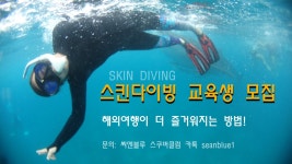 씨앤블루"SEAnBLUE"스쿠버클럽 | 밴드 SnB)스노클링+프리다이빙 체험 6월09일/16일 선착순 인원모집 ☞일시: 1차- 6월09일(일) 10시...