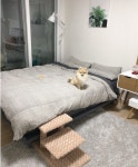주식회사 더치아모 | 디자인 패브릭 전문브랜드 데코뷰 데코뷰에서 델피아모던침구를 구매하고 거기에 어울릴만한 러그를 인터넷으로 몇일동안사용후기 - 주식회사...