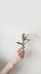 주식회사 메르시데코 | 디자인 패브릭 전문브랜드 데코뷰 상품평과 디자인보구 주문햇어요 ㅎ귀엽네요사용후기 - 주식회사 데코뷰