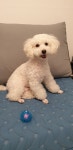 둥이네 쉼터족발 | 둥이