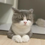 샀다 흐흐후