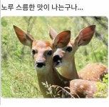 소망열쇠.비디오폰.비데 | 비데 렌탈 하는 사람??