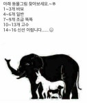 수믄 동물 찾기 | 보배드림 유머게시판