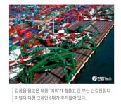 이번태풍 별거아니구먼요 | 보배드림 자유게시판