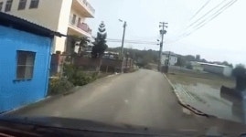 이거 과실 비율좀.. | 보배드림 유머게시판