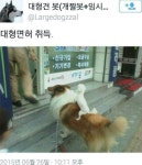 대형면허 취득 | 보배드림 유머게시판