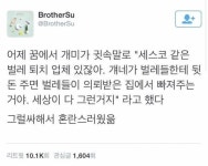 (주)세스코 부산서부지역단 영업팀 | 세스코 영업비밀.jpg | 보배드림 유머게시판