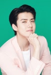 송강인셀덤 | 이렇게 포스터 나왔음 좋겠다 - 인스티즈(instiz) EXO-SC 카테고리