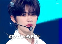 주식회사말티 | 우리 말티쥬 보고싶어🥺🥺 - 인스티즈(instiz) 강민희 카테고리