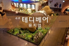 한국에 5군데밖에 없다는 테디베어 박물관이래 - 인스티즈(instiz) 익명잡담 카테고리 한국에 5군데밖에 없다는 테디베어 박물관이래