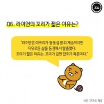 라이언에 대한 궁금증 몇가지 - 인스티즈(instiz) 이슈 카테고리 라이언에 대한 궁금증 몇가지