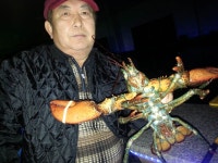 예지실내 랍스터,우럭,강도다리 낚시터~~ : 낚시사랑