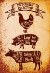 butchers cuts labels vector material 03 - Vector Food free download