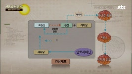 명장면클립 | 신인류 식품관 | 프로그램 | JTBC 아로니아의 '안토시아닌' 피부 & 시력에 GOOD~