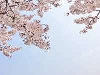기글 하드웨어 사진 게시판 - 사진은 보정보다 찍는게 중요합니다
