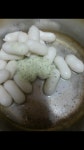 바람과노을고기대장떡볶이 | 바람놀이터 - 치즈떡볶이 만들기 > 유머/연예 | 바람놀이터 (바람의나라) 바람놀이터 (바람의나라)