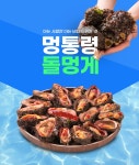 귀한 바다의 별미! 돌멍게 1kg - NS홈쇼핑