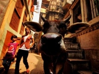 블유마(Blow Your Mind) | 11 photos of India that will blow your mind! - Rediff Getahead 11 photos of India that will blow your mind!