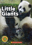 리틀자이언트삼가점 | 북채널 - Little Giants