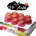 롯데마트몰 - 아침햇살농장 청송얼음골사과 팬캡포장 4kg(9~12과) 상세정보 아침햇살농장 청송얼음골사과 팬캡포장 4kg(9~12과)