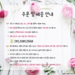 커뮤니타스퍼펙타 | 로세오펙타 공기정화식물