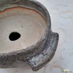 백림제화 | 백림원수제화분(원형) 야생화화분